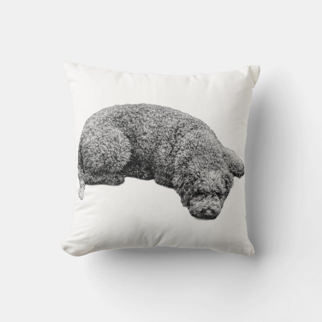 Ernest Abend Calm Kissen (Vorderseite)