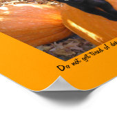 Ernest Kitten Poster (Ecke)