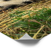 Ernest & Sassy Print! Poster (Ecke)