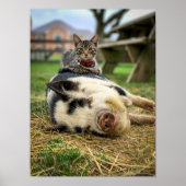 Ernest & Sassy Print! Poster (Vorne)