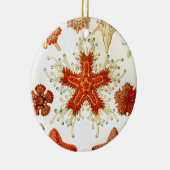 Ernhaeckel-Kunstwerk Keramikornament (Rechts)