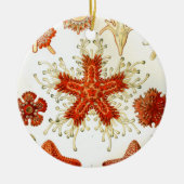 Ernhaeckel-Kunstwerk Keramikornament (Vorne)