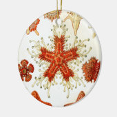 Ernhaeckel-Kunstwerk Keramikornament (Links)