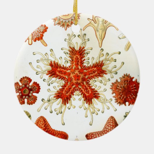 Ernhaeckel-Kunstwerk Keramikornament (Hinten)