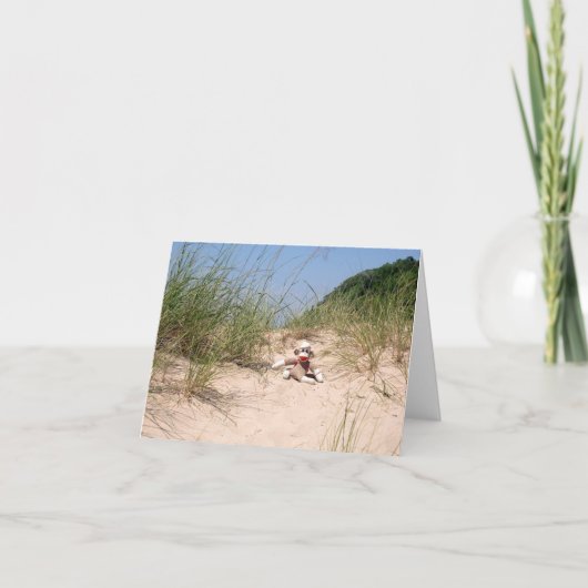 Ernie die Socken-Affe-Sanddüne-leere Karte (Vorderseite)