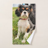 ernst badhandtuch set (Handtuch)