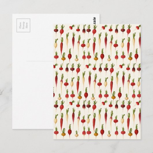 Ernst Benary's Radish-Sorten Postkarte (Vorne/Hinten)