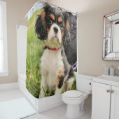 ernst duschvorhang (Beispiel)