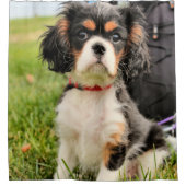 ernst duschvorhang (Vorderseite)