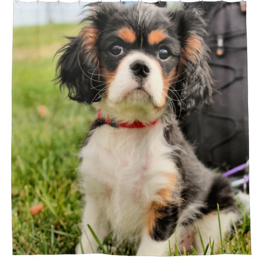 ernst duschvorhang (Vorderseite)