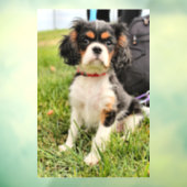 ernst fensteraufkleber (Blatt 3)