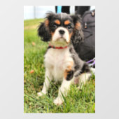 ernst fensteraufkleber (Blatt)