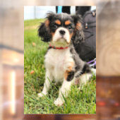 ernst fensteraufkleber (Blatt 2)