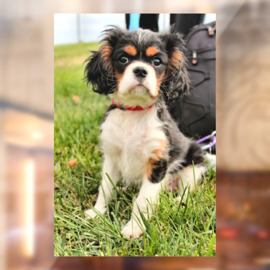 ernst fensteraufkleber (Blatt 2)