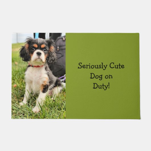 ernst fußmatte (Vorderseite)