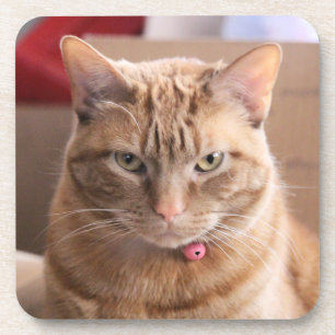 ernst getränkeuntersetzer