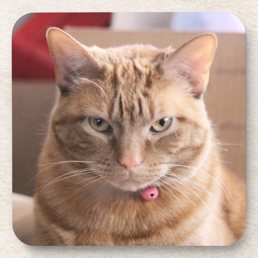 ernst getränkeuntersetzer (Vorderseite)