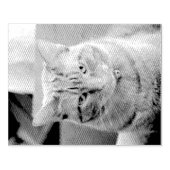 ernst gummistempel (Prägung)