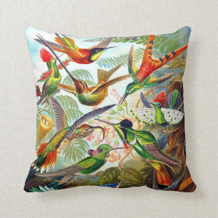 Ernst Haeckel 1904 Kolibri-Druck auf Kissen