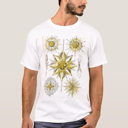 Ernst Haeckel - Acanthometra T-Shirt (Vorderseite)