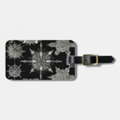 Ernst Haeckel | Acanthophracta Gepäckanhänger (Vorderseite horizontal)