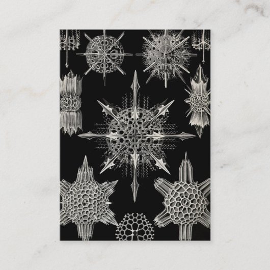 Ernst Haeckel | Acanthophracta Visitenkarte (Vorderseite)