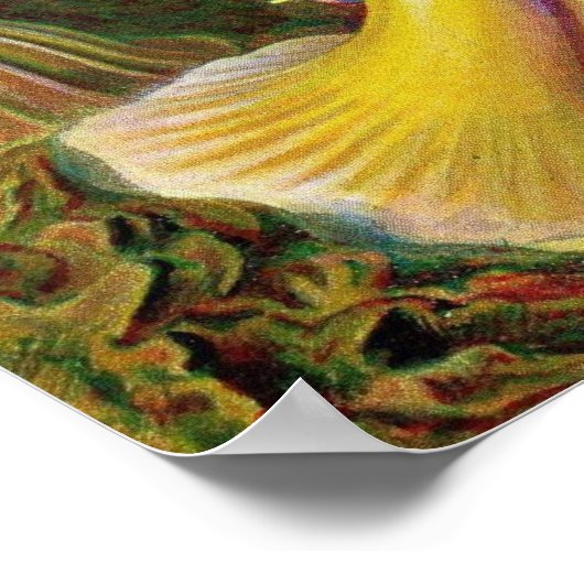 Ernst Haeckel - Actiniae Anemones Poster (Ecke)