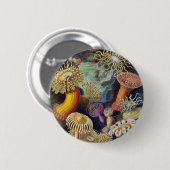 Ernst Haeckel - Actiniae Button (Vorne & Hinten)