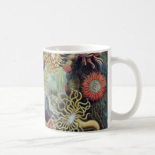 Ernst Haeckel Actiniaea Seeanemone Kaffeetasse