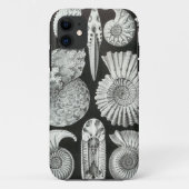 Ernst Haeckel - Ammonitida Case-Mate iPhone Hülle (Rückseite)