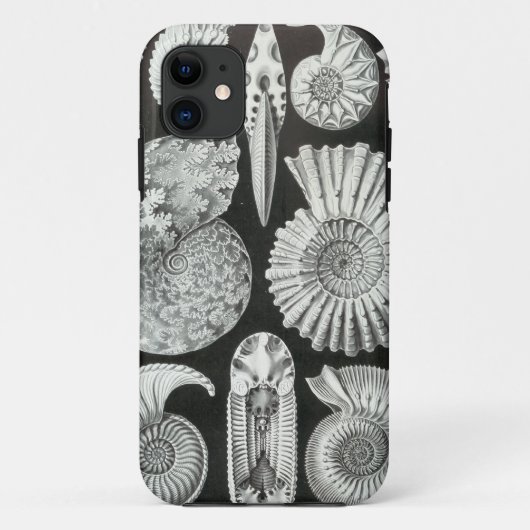 Ernst Haeckel - Ammonitida Case-Mate iPhone Hülle (Rückseite)