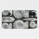 Ernst Haeckel - Ammonitida Case-Mate iPhone Hülle (Rückseite (Horizontal))