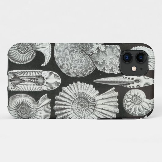 Ernst Haeckel - Ammonitida Case-Mate iPhone Hülle (Rückseite (Horizontal))
