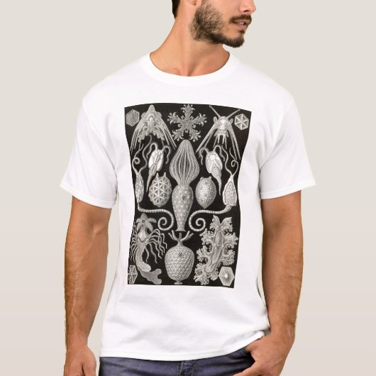 Ernst Haeckel - Amphoridea T-Shirt (Vorderseite)