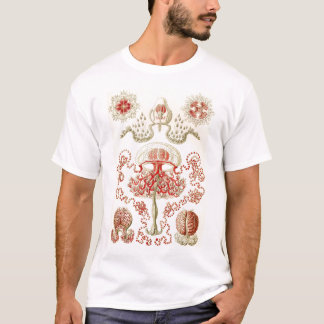 Ernst Haeckel - Anthomedusae Quallen T-Shirt