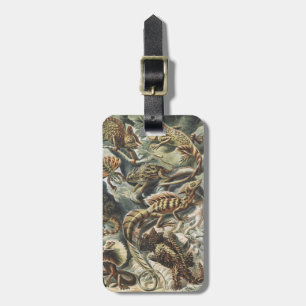 Ernst Haeckel Antike Reptil Echse Natur Kunst Gepäckanhänger