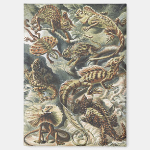Ernst Haeckel Antike Reptil Echse Natur Kunst Magnet