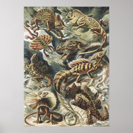 Ernst Haeckel Antike Reptil Echse Natur Kunst Poster (Vorne)