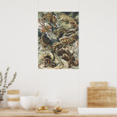 Ernst Haeckel Antike Reptil Echse Natur Kunst Poster (Küche)
