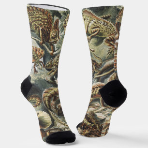 Ernst Haeckel Antike Reptil Echse Natur Kunst Socken