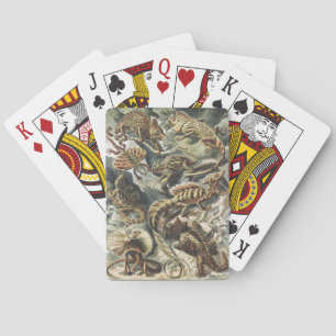 Ernst Haeckel Antike Reptil Echse Natur Kunst Spielkarten