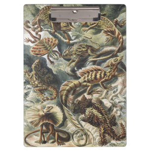 Ernst Haeckel Antike Reptilien Echse Natur Kunst Klemmbrett