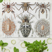 Ernst Haeckel Arachnida Spiders Poster Case Mate i Geschirrtuch (Gefaltet)