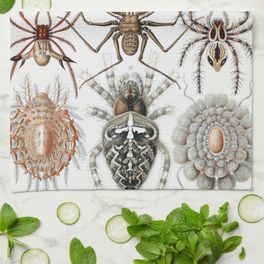 Ernst Haeckel Arachnida Spiders Poster Case Mate i Geschirrtuch (Gefaltet)