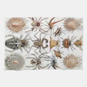 Ernst Haeckel Arachnida Spiders Poster Case Mate i Geschirrtuch (Horizontal)