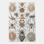 Ernst Haeckel Arachnida Spiders Poster Case Mate i Geschirrtuch (Vertikal)
