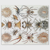 Ernst Haeckel Arachnida Spiders Poster Geschenkpapier (Flach)