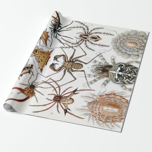 Ernst Haeckel Arachnida Spiders Poster Geschenkpapier (Ungerollt)