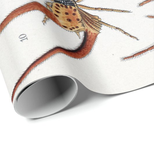 Ernst Haeckel Arachnida Spiders Poster Geschenkpapier (Rolleneckpunkt)