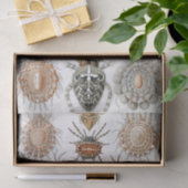 Ernst Haeckel Arachnida Spiders Poster Seidenpapier (Geschenk)